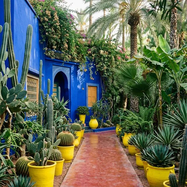 Jardin Majorelle Marrakech with iconic cobalt blue walls